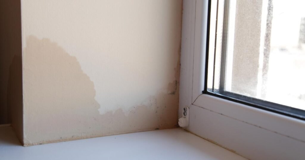 4 simple ways to check your home for subtle signs of damp