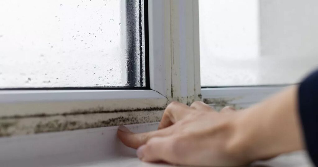 One in four Brits living in damp and mouldy homes – with children at risk