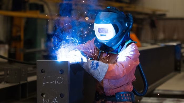 Business investment to fall for first time since Covid, UK fiscal watchdog says