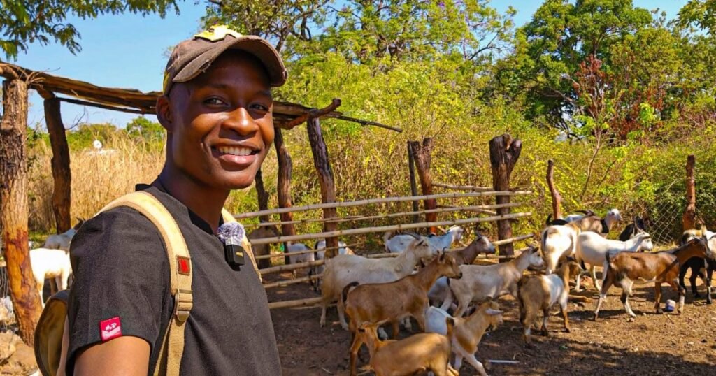 Zimbabwe’s diaspora reshapes real estate and farming investment trends | Features