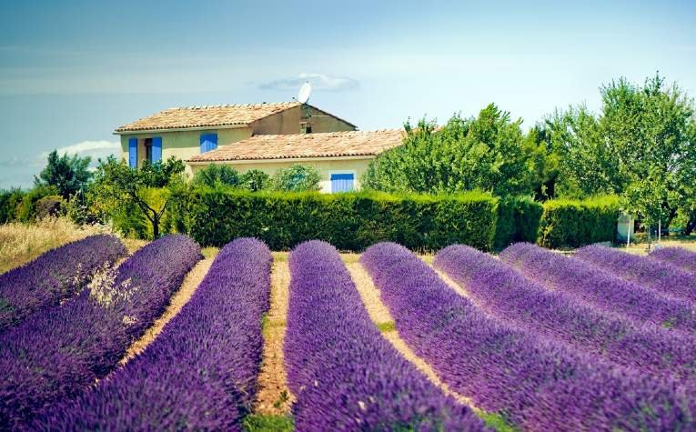 Savills Blog | Buying in France: securing a French mortgage
