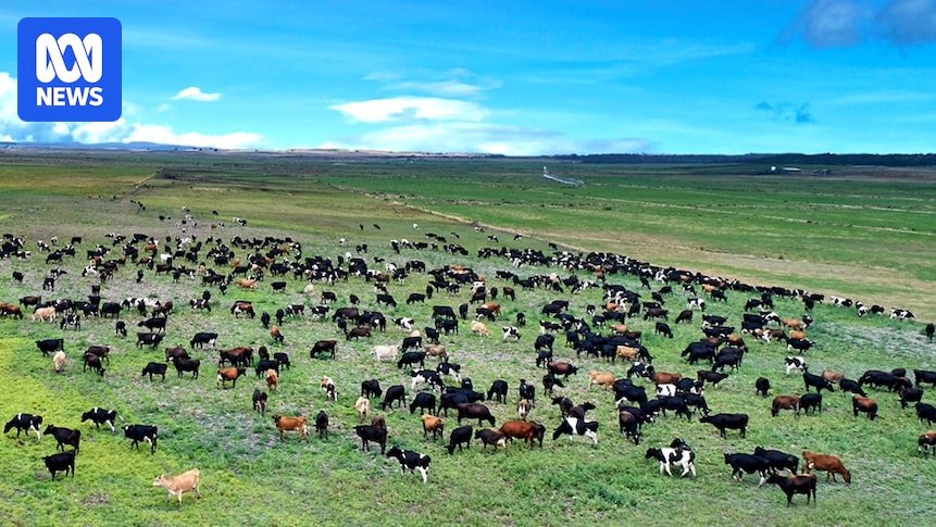 Sale of Tasmania’s biggest farm, Rushy Lagoon, to UK pine plantation investor approved